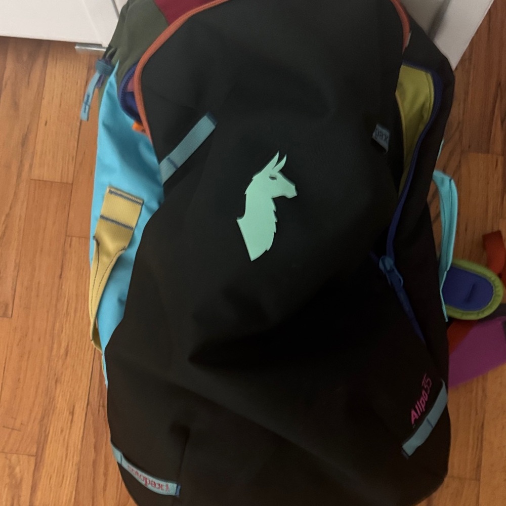 Cotopaxi Del Dio Multicolor Backpack - image 1